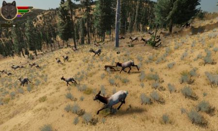 WolfQuest Apk Android Full Mobile Version Free Download