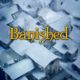 Banished PC Latest Version Full Game Free Download