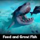Feed and Grow: Fish APK Latest Version Free Download