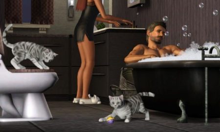 The Sims 3 Pets PC Version Game Free Download