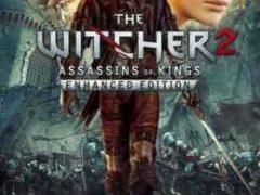 The Witcher 2 Assassins of Kings iOS/APK Free Download