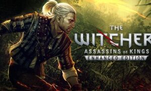 The Witcher 2 free full pc game for download