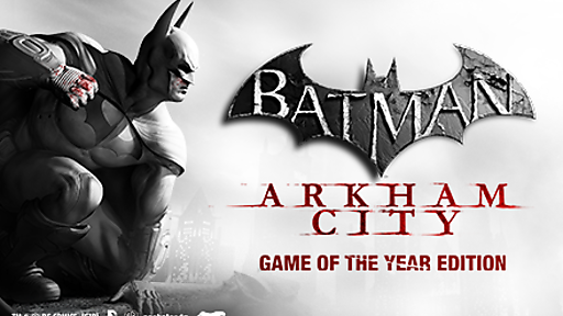 Batman Arkham City GOTY PC Download Game For Free