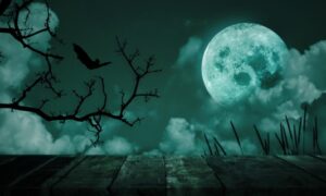 THE ART OF SCARY MOON DESIGN