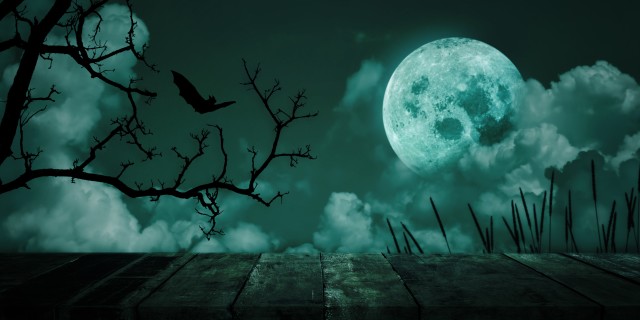 THE ART OF SCARY MOON DESIGN