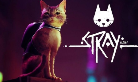 STRAYXBOX GAMEPASS - WHAT DO WE KNOW? IT WILL BE COMING TO THE PC GAMEPASS IN 2022