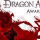 Dragon Age Origins