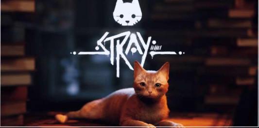 Stray